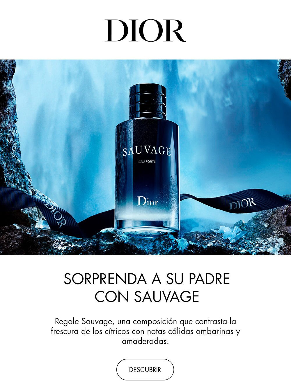 Dior dia del padre Aromas