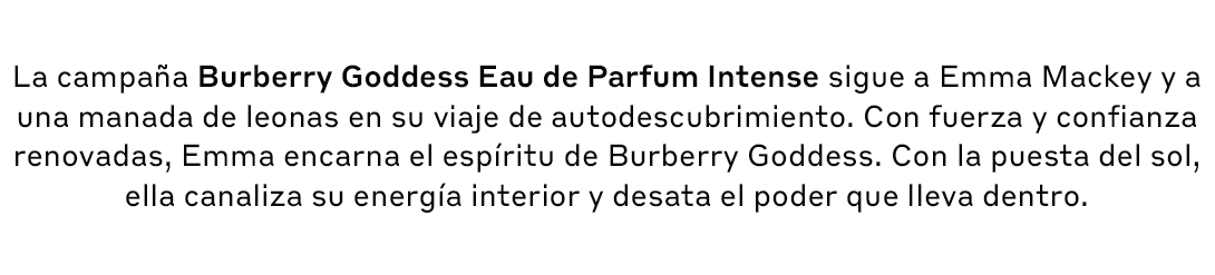 Burberry texto Escritorio