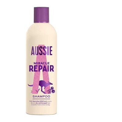 Repair Miracle