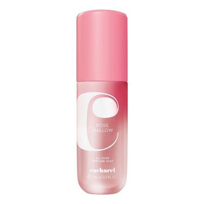 Rose Mallow