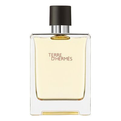 Terre D'Herm&eacute;s Eau de Toilette