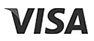 Logo Visa