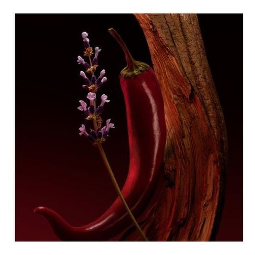 The Scent Elixir For Him