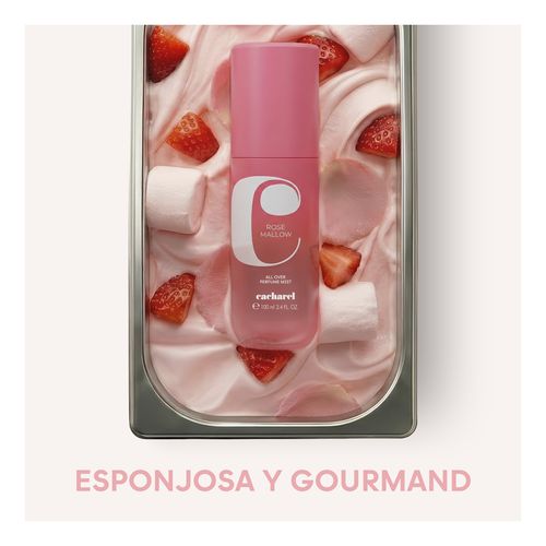 Rose Mallow