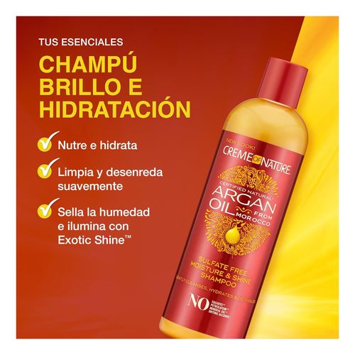 Argan Champú Brillo