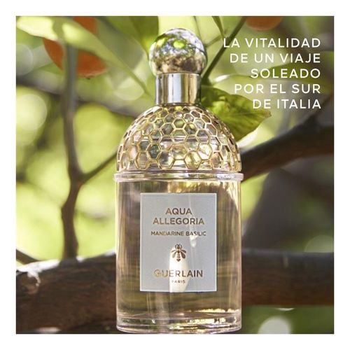 Aqua Allegoria Mandarine Basilic