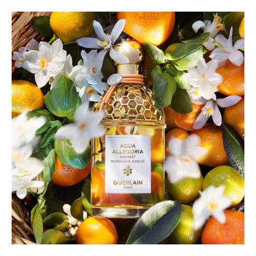 Aqua Allegoria Harvest Mandarine Basilic