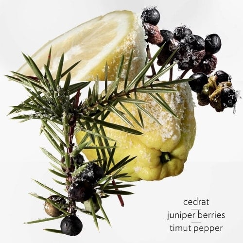 Terre D'Herm&eacute;s Eau Givr&eacute;e