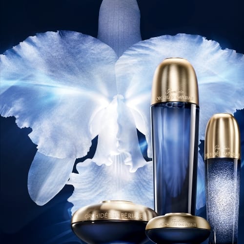 Orchidée Impériale 