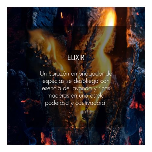 Sauvage Elixir 