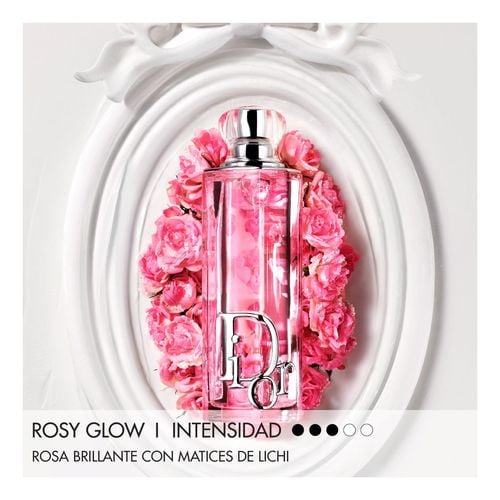 Coffret Dior Addict - edi&ccedil;&atilde;o limitada