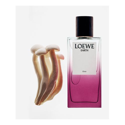 Earth Elixir Edp