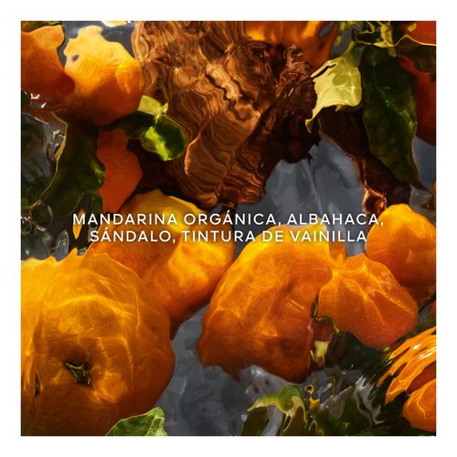 Aqua Allegoria Mandarine Basilic Forte - Coffret