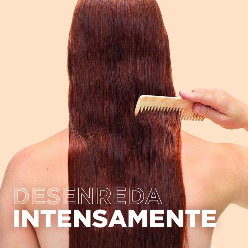 Reparador Tesoros de Miel 