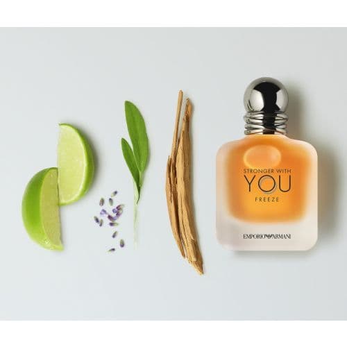Stronger With You Freeze edt