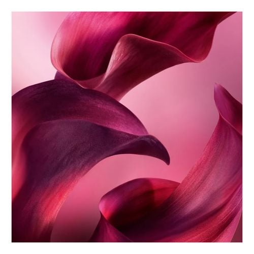 La Vie est Belle L?Elixir Very Cherry