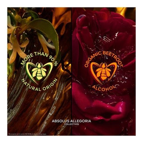 Absolus Allegoria Tabac Sahara