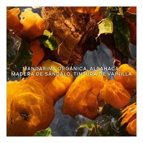 Aqua Allegoria Forte Mandarine Basilic - Cofre