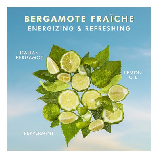 Bergamote Fraiche