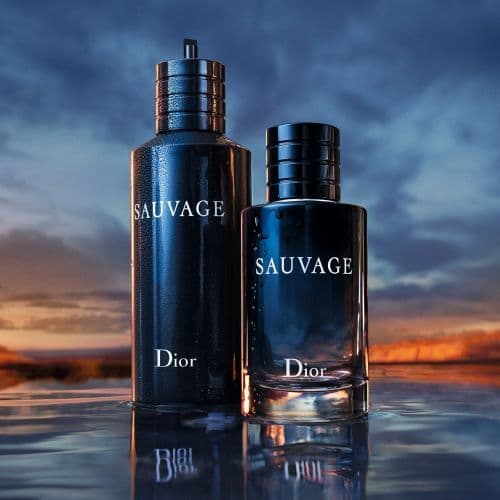 Sauvage EDT Recarga edt