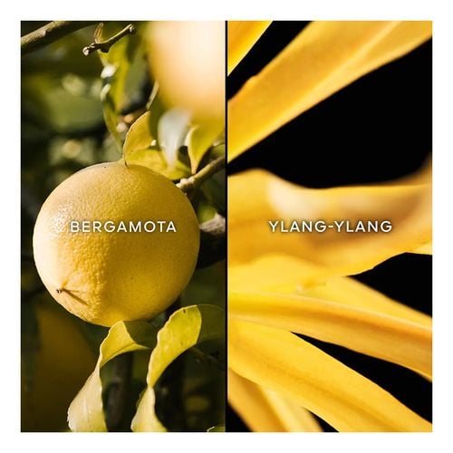 TERRACOTTA edt