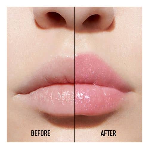 Dior Addict Lip Maximizer