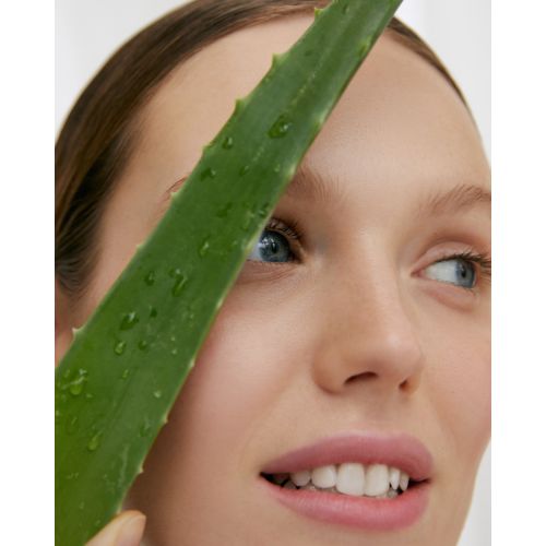 Natur Good Aloe Vera