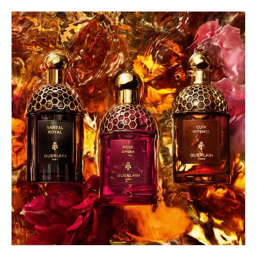 Absolus Allegoria Rose Amira Edp