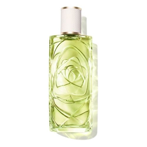 O de Lancôme Off Now