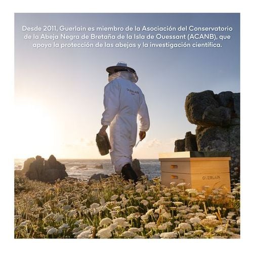 ABEILLE ROYALE TRATAMENTO DE OLHOS