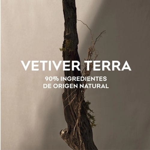 Vetiver Terra Edp