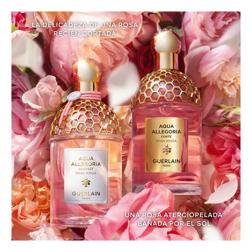 Aqua Allegoria Harvest Rosa Rossa