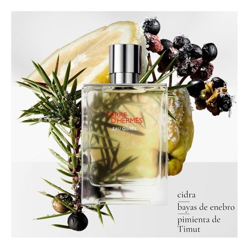 Terre D'Herm&eacute;s Eau Givr&eacute;e