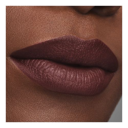 Pure Color Matte Lipstick