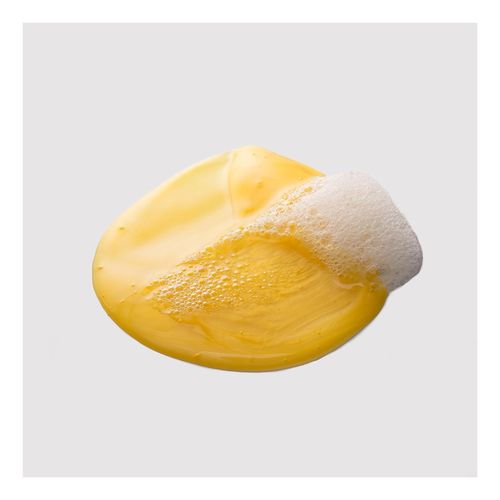 Argan Champú Brillo