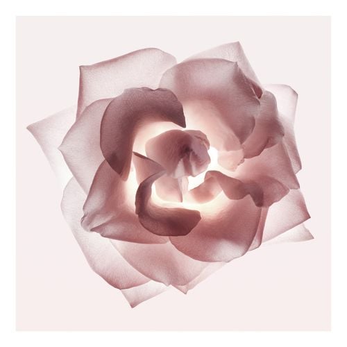 Cristal Edp