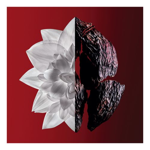 L'Interdit Rouge Ultime Edp