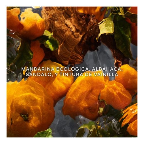 Aqua Allegoria Forte Mandarine Basilic Cofre