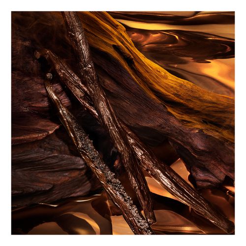 Forever Wanted Absolu