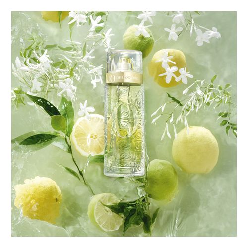 &Ocirc; de Lanc&ocirc;me