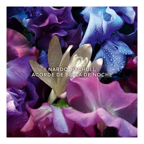 Absolus Allegoria Florabloom Edp