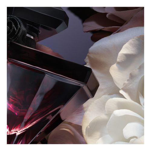 La Nuit Trésor Fleur De Nuit