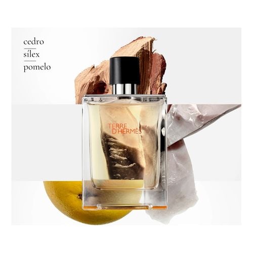 Terre D'Herm&eacute;s Eau de Toilette