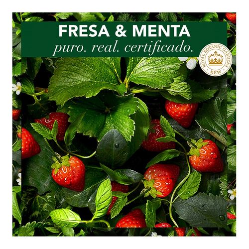 Purificante Fresa Blanca y Menta Dulce