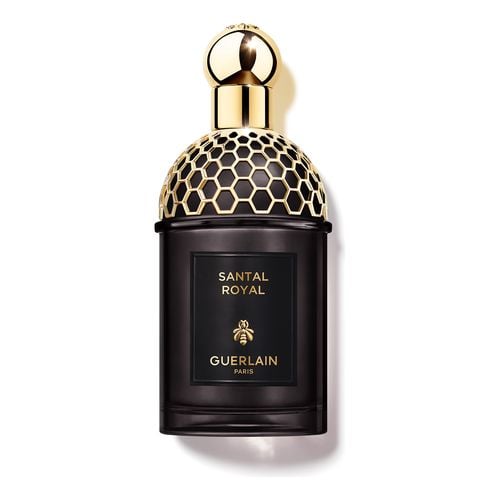 Absolus Allegoria Santal Royal Edp