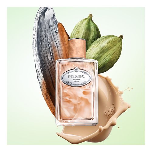 Infusion de Santal Chai