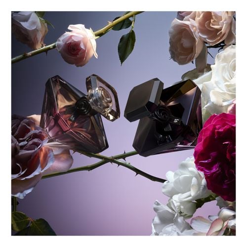 La Nuit Tr&eacute;sor Fleur De Nuit