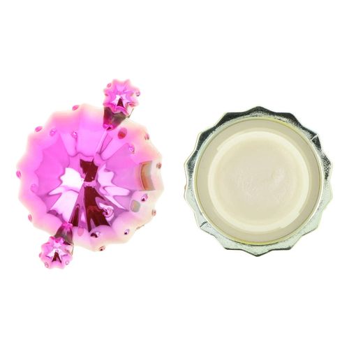 Lip Gloss Cactus/Estrella