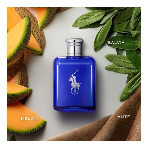 Polo Blue Edt