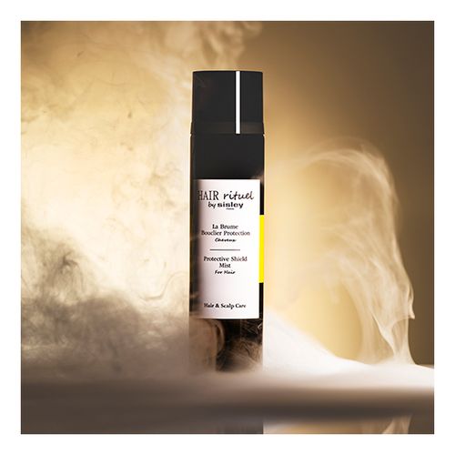 La Brume Bouclier Protection